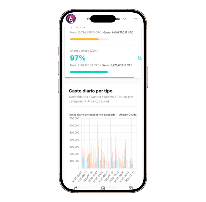 Gráficos y reportes de finanzas en FinanGuau